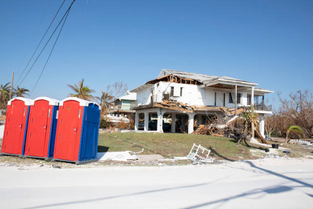 Best Storm Damage Tree Cleanup  in East Bethel, MN